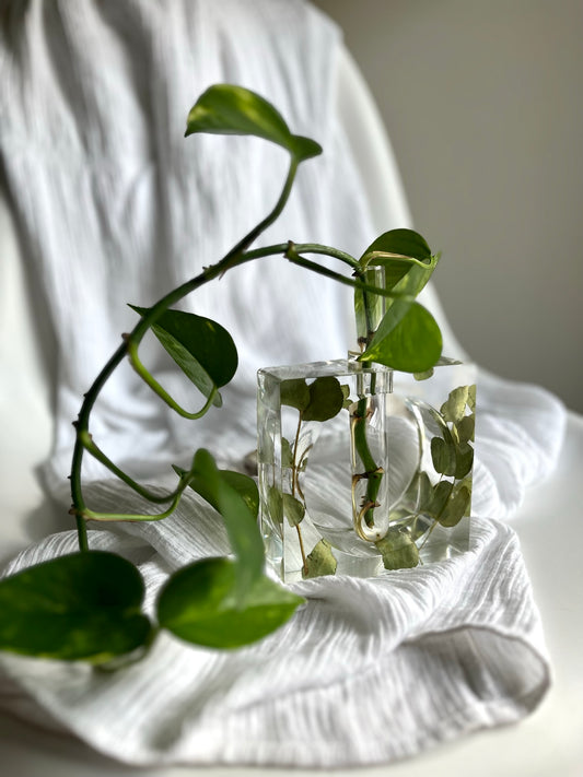 Eucalyptus Leaf Plant Propagator Vase